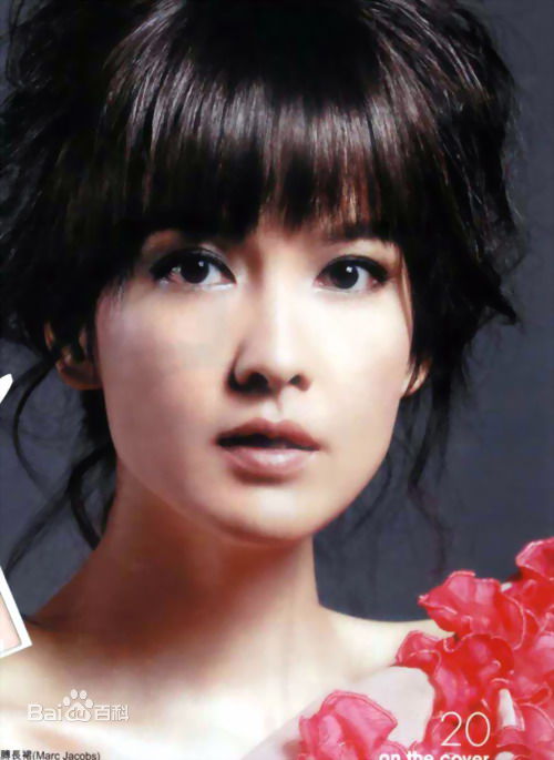 周慧敏(Chow Wai Man、Vivian Chow)主演艺术照前后照片