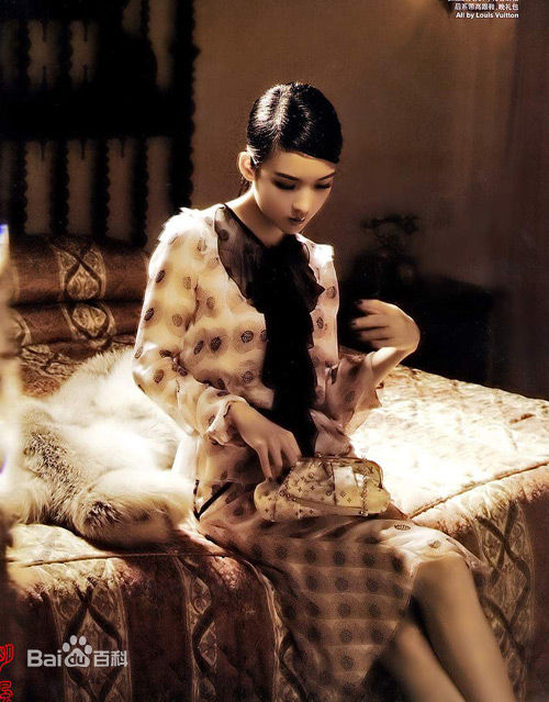 周慧敏(Chow Wai Man、Vivian Chow)主演艺术照前后照片