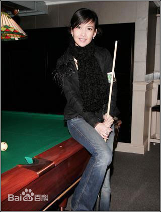 最全周慧敏(Chow Wai Man、Vivian Chow)精彩图册