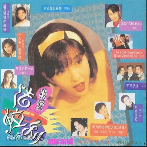 高清周慧敏(Chow Wai Man、Vivian Chow)图片