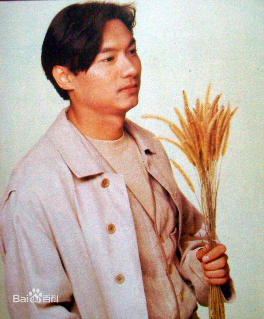 最新林俊贤(Wilson Lam)精彩图册