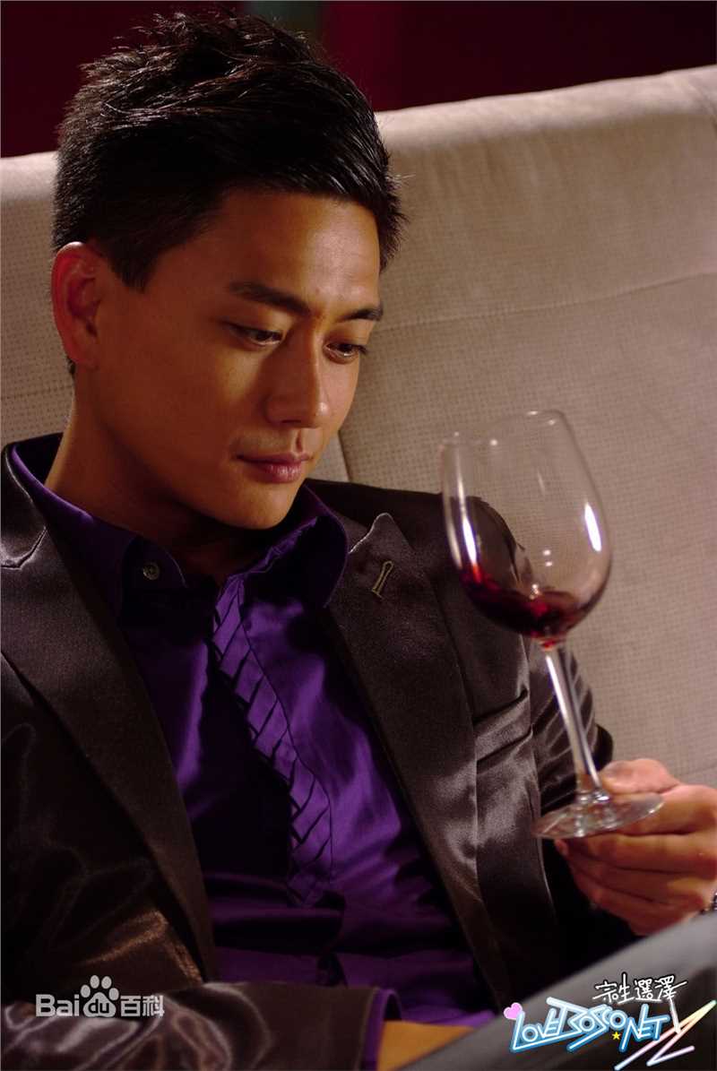 高清黄宗泽(Bosco Wong)在《摘星之旅》饰 钟林大中的图集