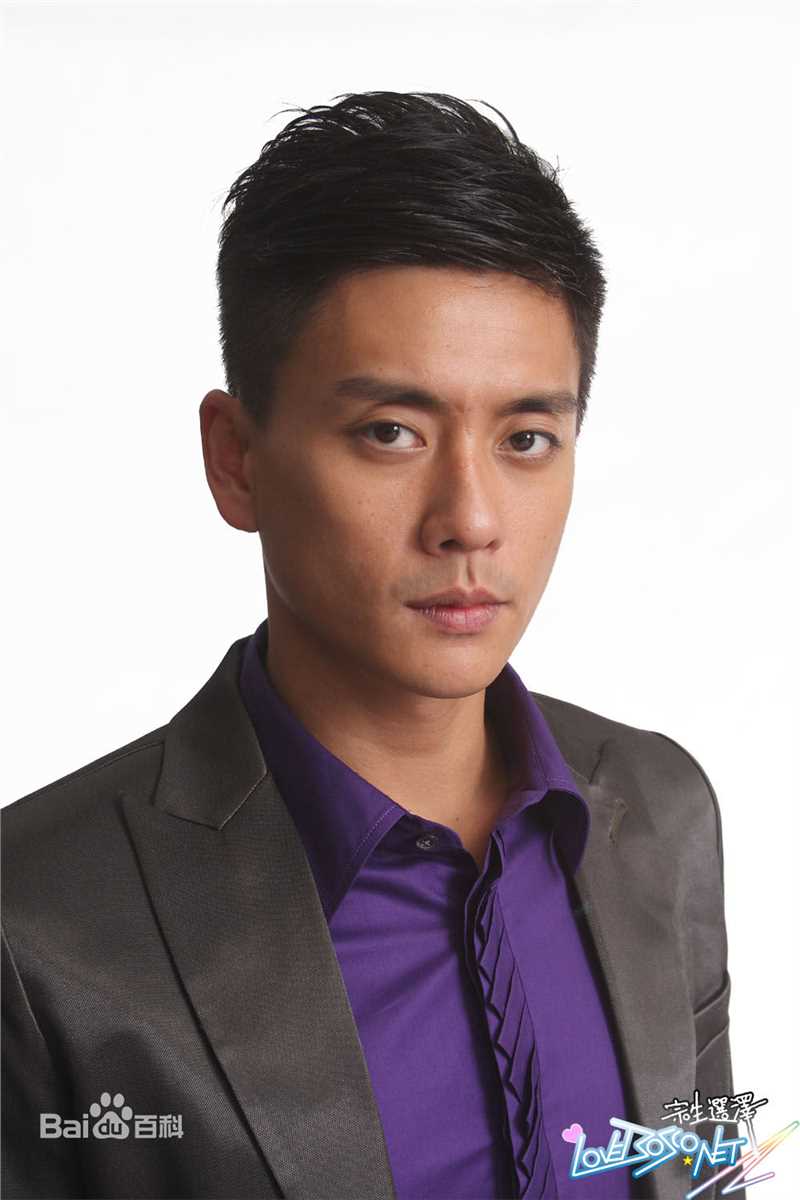 高清黄宗泽(Bosco Wong)在《摘星之旅》饰 钟林大中的图集