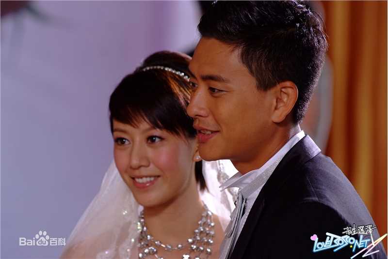 高清黄宗泽(Bosco Wong)在《摘星之旅》饰 钟林大中的图集