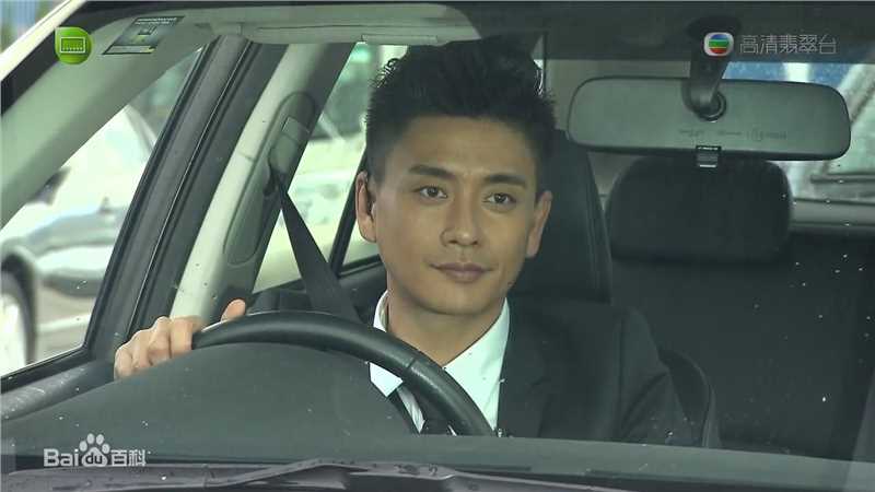 最全黄宗泽(Bosco Wong)在《护花危情》饰 许玮琛中的壁纸