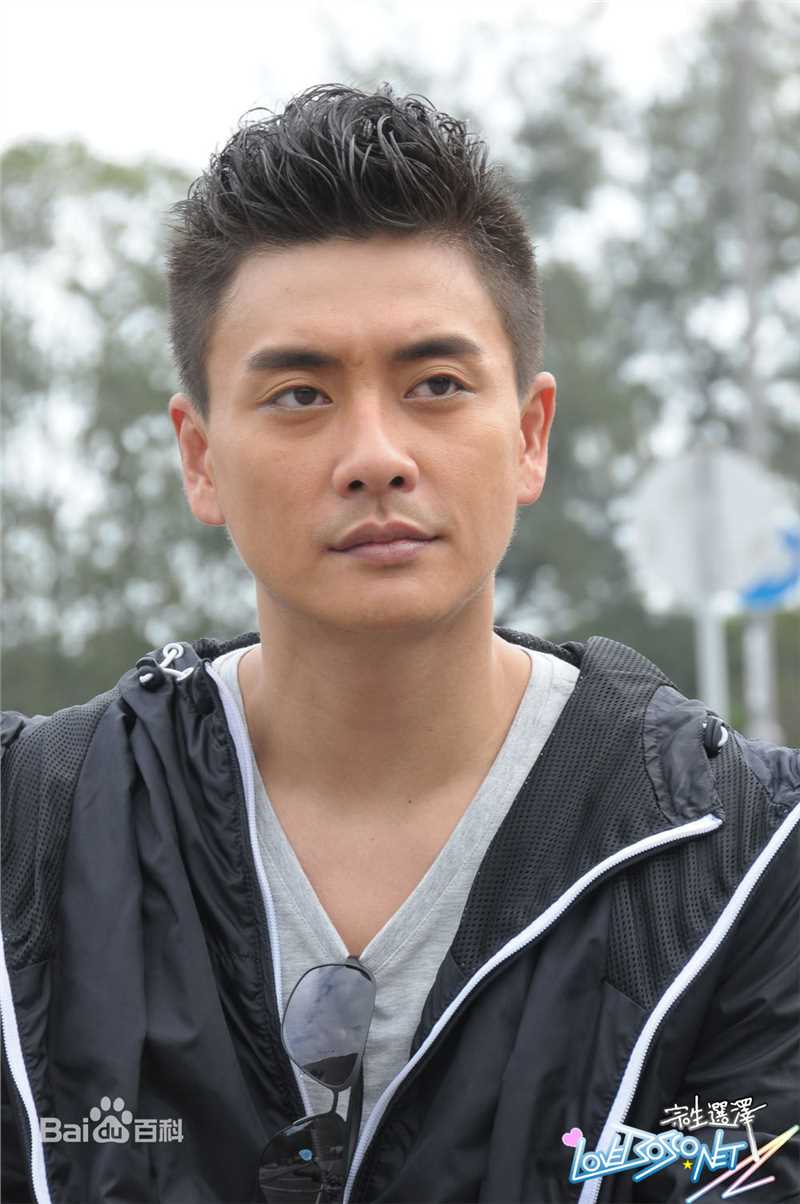 最全黄宗泽 Bosco Wong 在 护花危情 饰许玮琛中的壁纸 万佳查