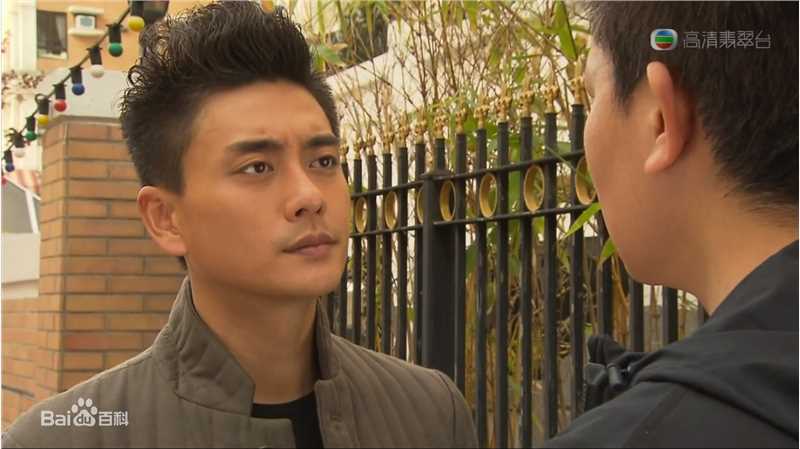 最全黄宗泽(Bosco Wong)在《护花危情》饰 许玮琛中的壁纸
