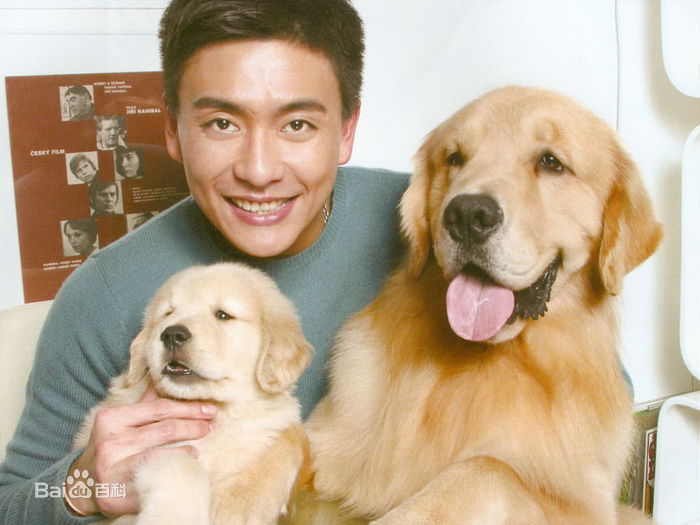 最新黄宗泽(Bosco Wong)精彩图册