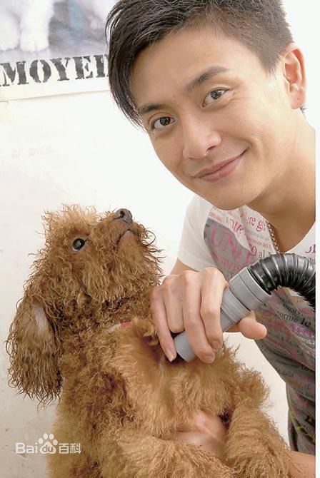 最优质黄宗泽(Bosco Wong)精彩图册