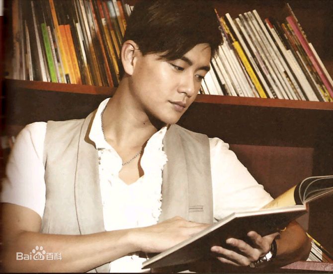 最优质黄宗泽(Bosco Wong)精彩图册