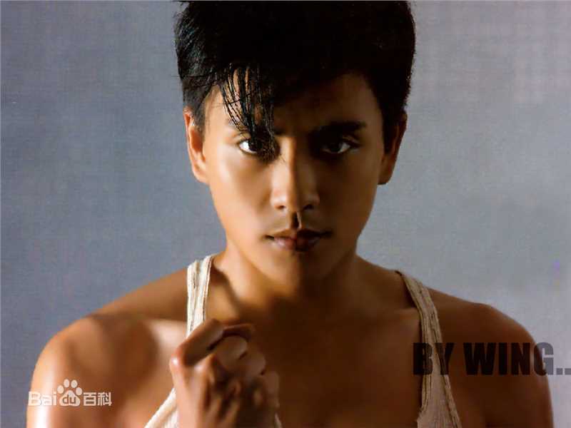 最优质黄宗泽(Bosco Wong)精彩图册