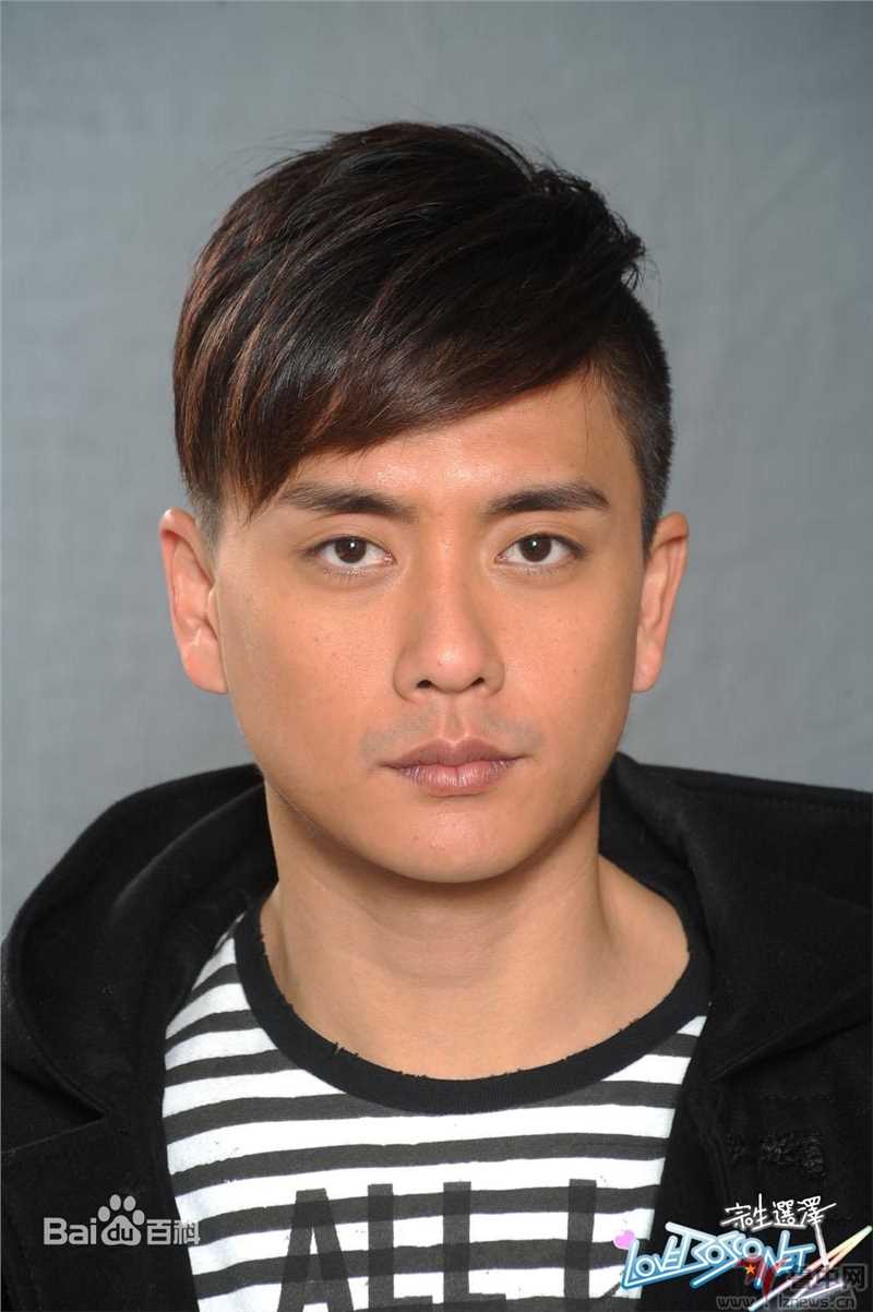 最优质黄宗泽(Bosco Wong)精彩图册