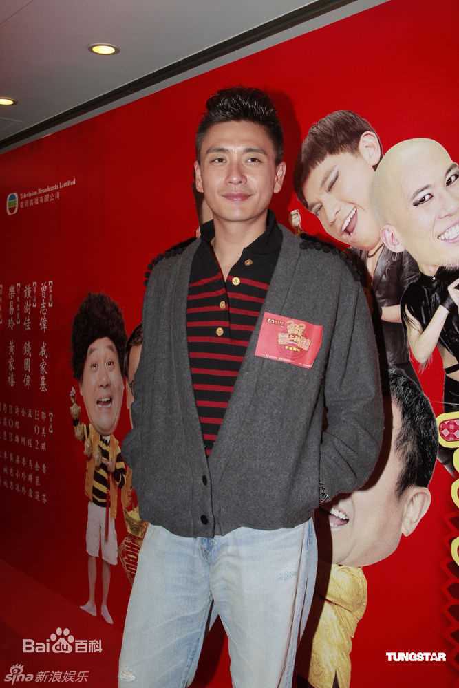 最优质黄宗泽(Bosco Wong)精彩图册