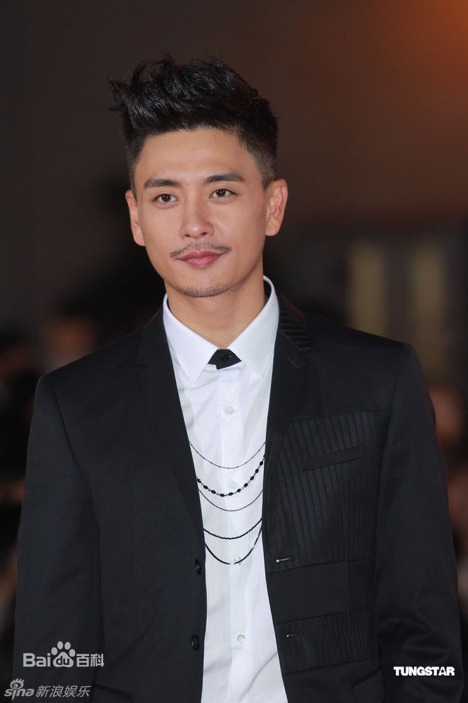 最优质黄宗泽(Bosco Wong)精彩图册