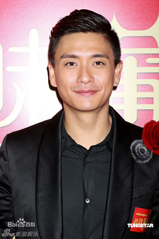 最优质黄宗泽(Bosco Wong)精彩图册