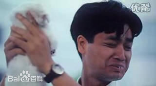 郭晋安(Roger Kwok Chun On)参演电影作品图片图集