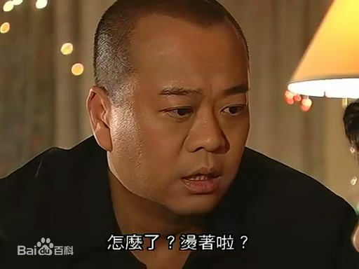 欧阳震华(Bobby Au—Yeung)2007年《两妻时代》剧照