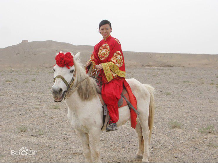 翁虹(Ewong ，Yvonne Yung Hung)《双城记》剧照