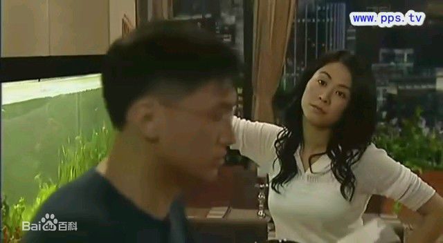 最全宣萱(Jessica Hester Hsuan)在2005年《老婆大人》饰演高希敏中的壁纸