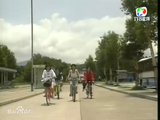 最全宣萱(Jessica Hester Hsuan)在1995年《天降奇缘》饰演 红娘中的壁纸