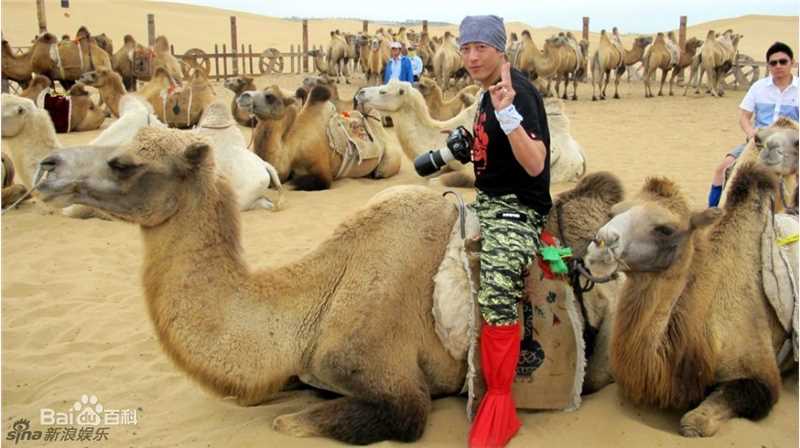 精选吕颂贤(Jackie Lui)精彩图册