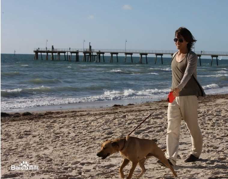 言承旭(Jerry Yan)精选海报封面剧照图册