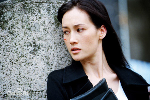 李美琪(Margaret Denise Quigley；Ly M  K （越南文）)MaggieQ最全剧照美图系列