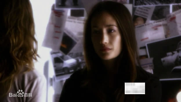 李美琪(Margaret Denise Quigley；Ly M  K （越南文）)《尼基塔》最优质剧照