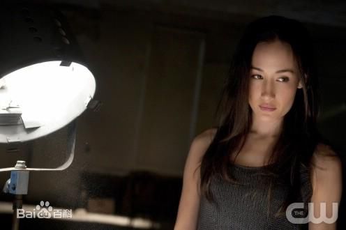 李美琪(Margaret Denise Quigley；Ly M  K （越南文）)《尼基塔》最优质剧照