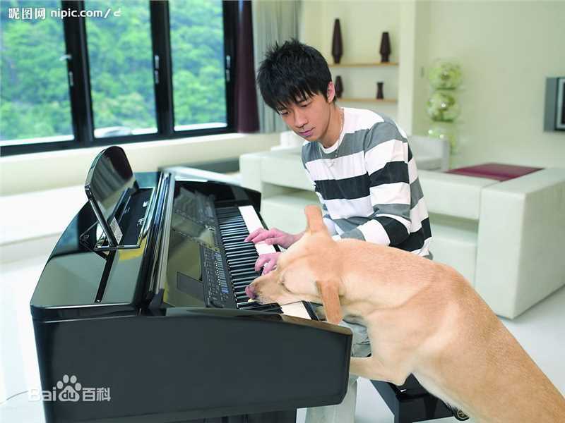 光良（艺名）(Michael Wong)光良童话前后照片