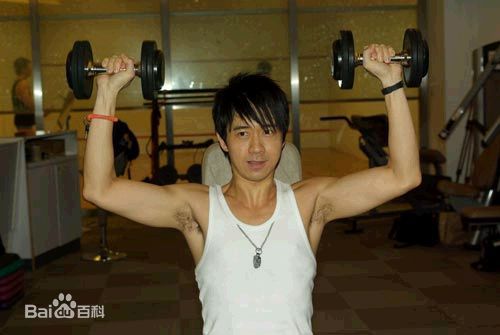 光良（艺名）(Michael Wong)光良童话前后照片