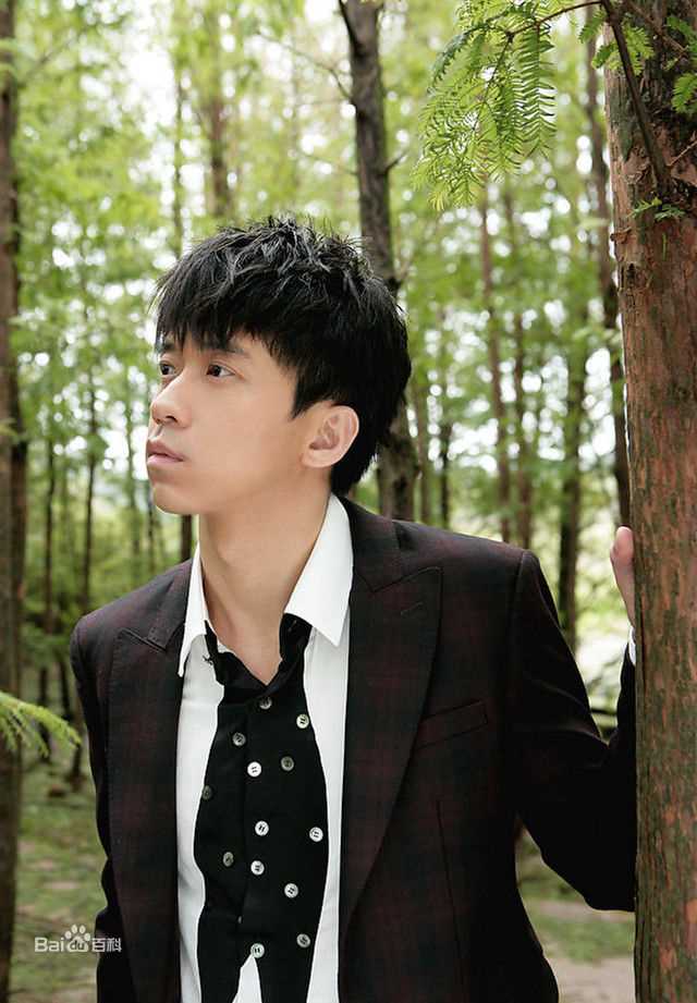 光良（艺名）(Michael Wong)高清光良图集