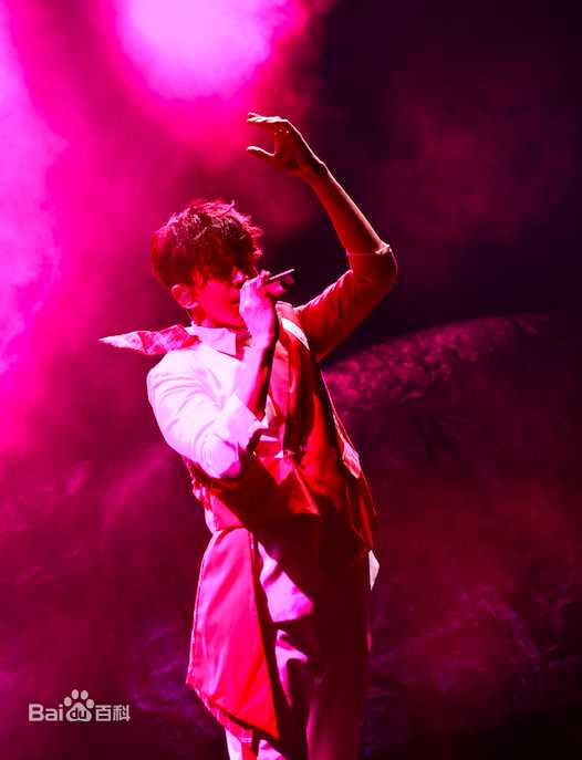 光良（艺名）(Michael Wong)今晚我不孤独演唱会照片前后照片