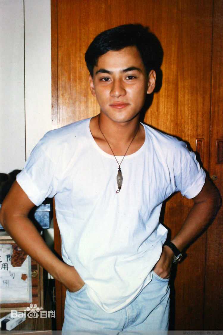 最新李家声(Dickson Li Ka Sing)壁纸