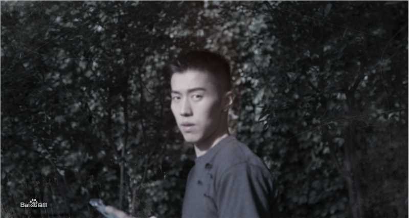 周游最全夏日壁纸