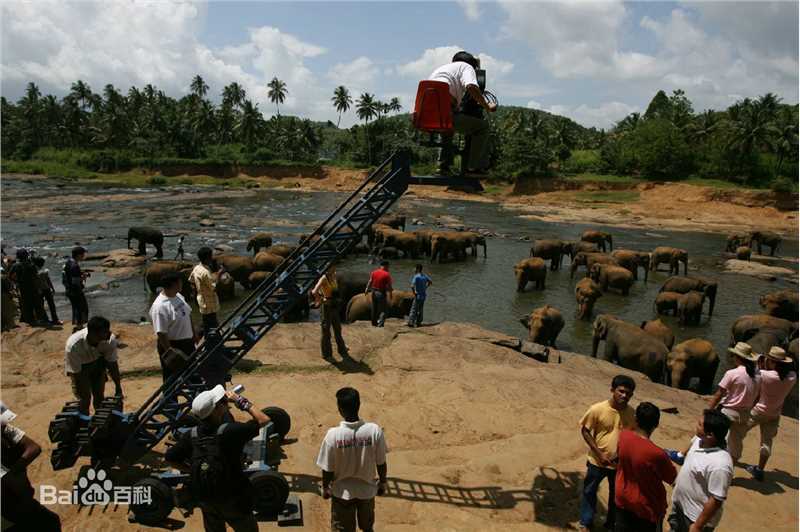 温德光工作照图片图集