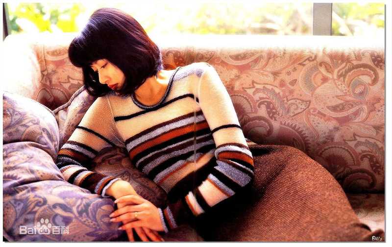 陈宝莲(Pauline Chan)精彩图册