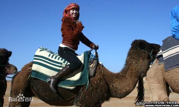 周海媚(Kathy CHAU)向世界出发-撒哈拉的自由人图册