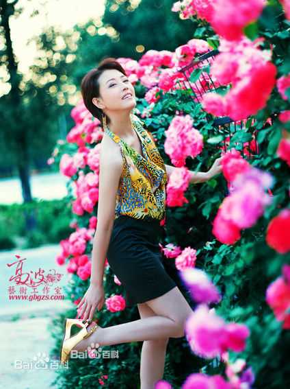 周海媚(Kathy CHAU)颁奖典礼照片图册