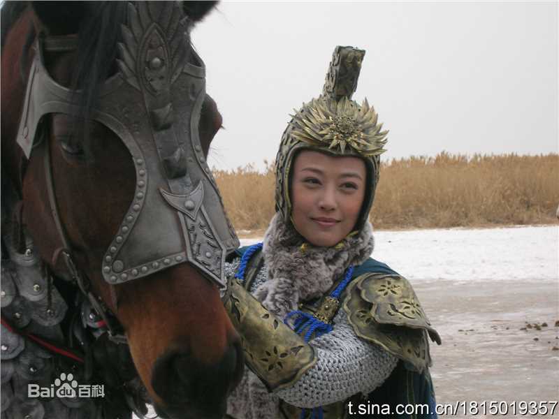 周海媚(Kathy CHAU)2010年《杨门女将之军令如山》精选剧照