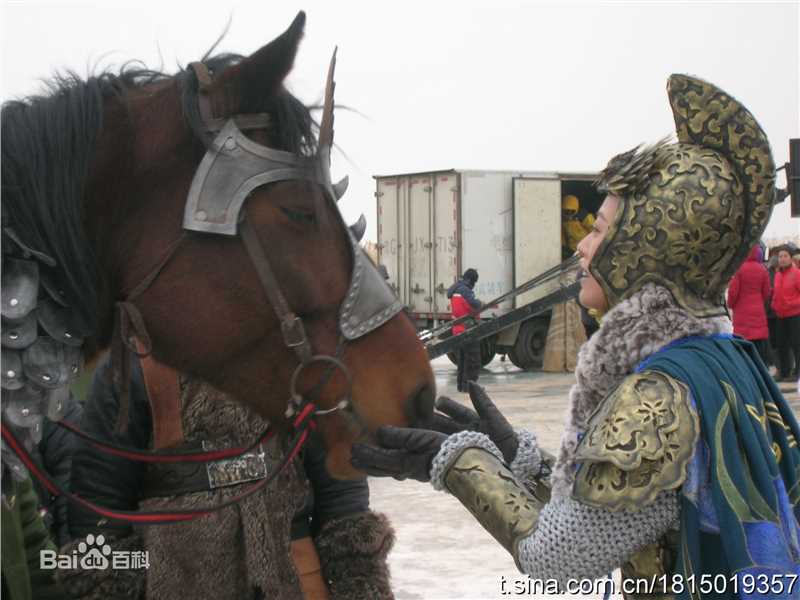 周海媚(Kathy CHAU)2010年《杨门女将之军令如山》精选剧照