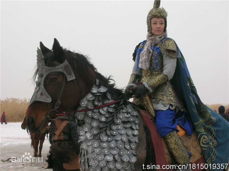 周海媚(Kathy CHAU)2010年《杨门女将之军令如山》精选剧照