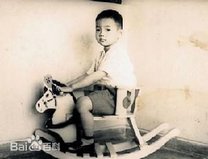 精选李国麟(Joseph Lee Kok Lun)