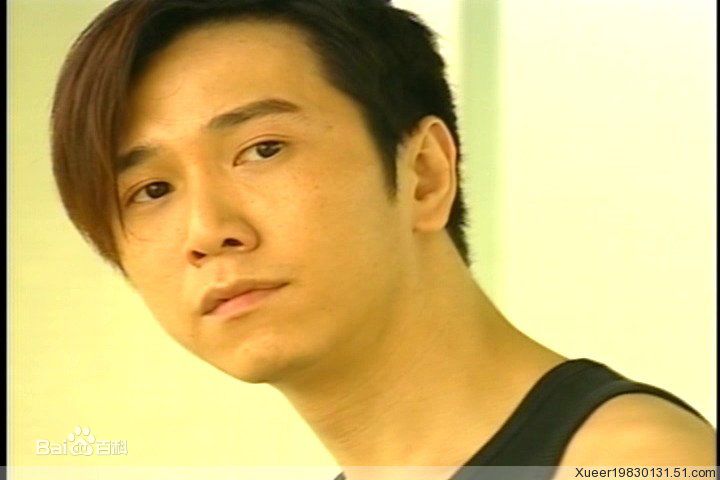 温兆伦(Deric Wan)流金岁月精选剧照