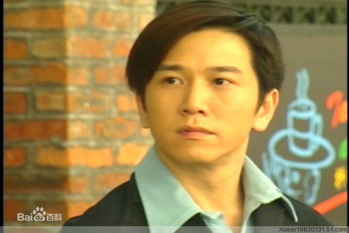 温兆伦(Deric Wan)流金岁月精选剧照