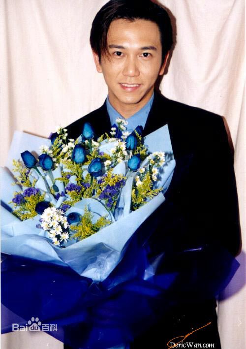 温兆伦(Deric Wan)01-06年 前后照片