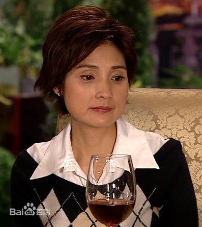 戚美珍(Jaime Chik Mei Chun)2009年《富贵门》高清剧照