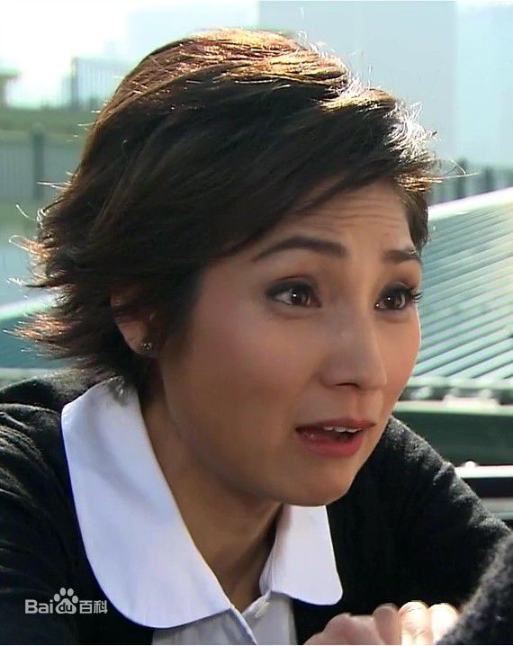 戚美珍(Jaime Chik Mei Chun)2009年《富贵门》高清剧照