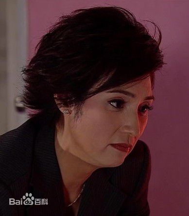 戚美珍(Jaime Chik Mei Chun)2009年《富贵门》高清剧照