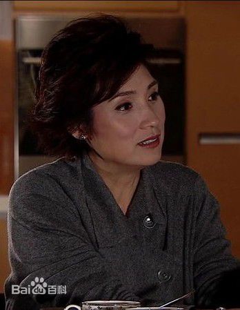 戚美珍(Jaime Chik Mei Chun)2009年《富贵门》高清剧照